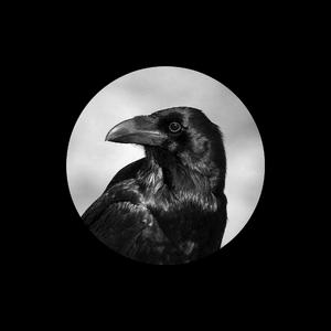 亿同玩彩虹小蓝GTV免费
