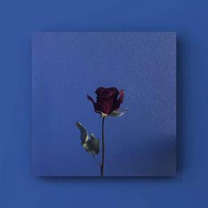 亿同玩彩虹小蓝GTV免费
