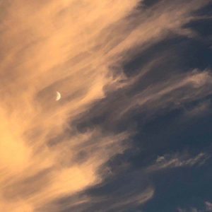 亿同玩彩虹小蓝GTV免费
