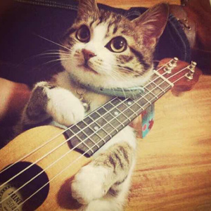 亿同玩彩虹小蓝GTV免费
